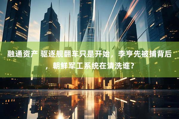 融通资产 驱逐舰翻车只是开始，李亨先被捕背后，朝鲜军工系统在清洗谁？