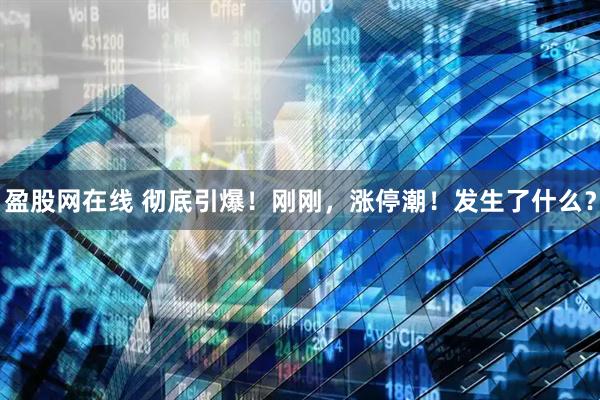 盈股网在线 彻底引爆！刚刚，涨停潮！发生了什么？