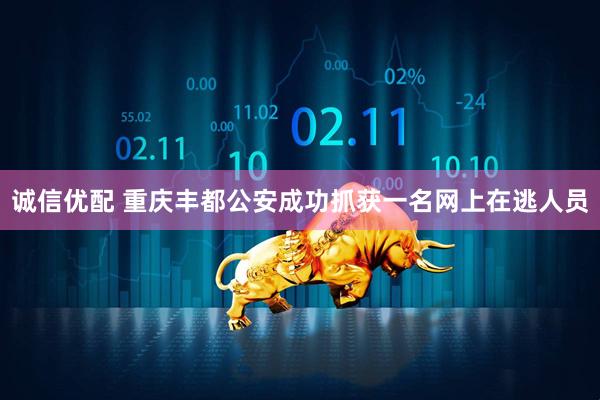 诚信优配 重庆丰都公安成功抓获一名网上在逃人员