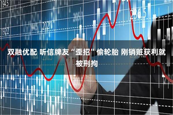 双融优配 听信牌友“歪招”偷轮胎 刚销赃获利就被刑拘